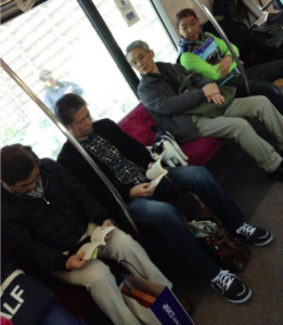 Japanese Train Welcomes Unpaid Feline Passenger