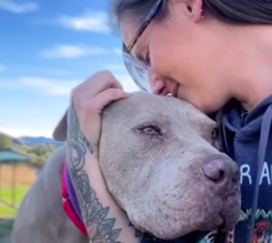 Fear-Paralyzed Pitbull Discovers Love and Trust: