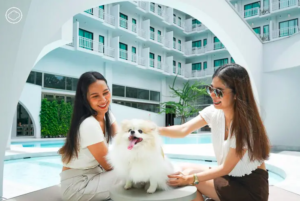 Redefining Hospitality with Pet-Friendly Paradise