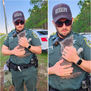 Officer Transforms Tiny Kitten's Life