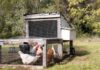 All You Need To Know About Chicken Tractors And Best DIY Plans - Green Parrot News