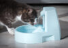 Top 8 Water Fountain For Cats In 2021 - Green Parrot News