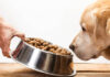 Top-7-Best-Soft-Dry-dog-Food-Benefits-and-Taste-Fumi-Pets.jpg