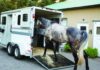 Where Can You Rent A Horse Trailer