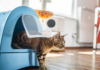 Dog-Proof Litter Boxes