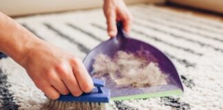 Get Pet Hair Out of Your Carpet