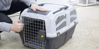 Hard-Sided Cat Carriers
