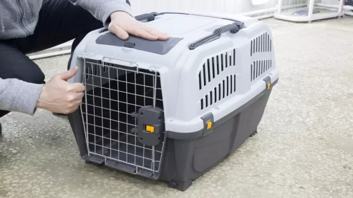 Hard-Sided Cat Carriers