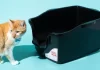 Високострана кутија за отпадоци за мачки кои прскаат многу