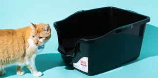 ハイスプレー猫用ハイサイドトイレ