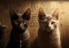 سلالات القطط المصرية