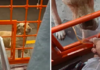 The Heartwarming Tale of a Homeless Puppy