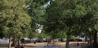 South London Dog Fatally Attacked in Park
