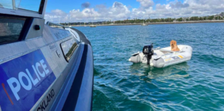 the Adventurous Canine, Saved by Police from Unintended Sea Voyage