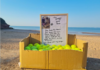 เพื่อนที่ดีที่สุดของมนุษย์ได้รับเกียรติเป็นลูกบอลเทนนิสฟรีที่ Beloved Beach