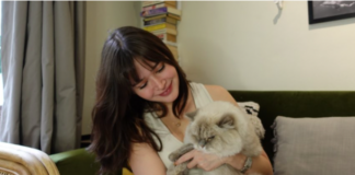 Bela Padilla Mourns the Loss of Beloved Pet Cat of 14 Years