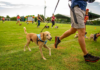 100 Anjing Berpartisipasi dalam Perlombaan Pet Perdana