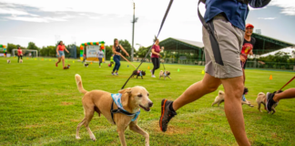 100 Dogs Participate in Inaugural Pet Race