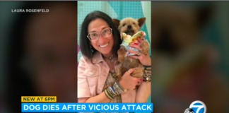 Venice Dog's Life Cut Short by Vicious Attack