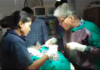 Anand Veterinary Doctors Make a Breakthrough