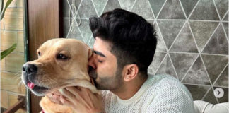 TV Star Akash Choudhary Survives Major Car Accident Amidst a Journey with His Pet