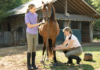 Tips for Managing Horse Diarrhea