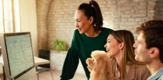 Boosting Productivity with Pet-Friendly Workplaces