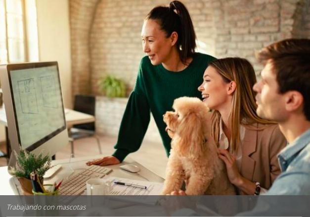 Boosting Productivity with Pet-Friendly Workplaces