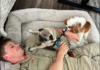 Ny fihaonan'i Robert Irwin mahafinaritra miaraka amin'ny Pet Puppies Stella sy Piggy Drives Fans Wild