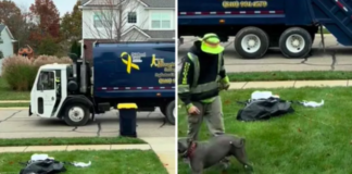 Dog with a Sanitation Worker 'Obsession'