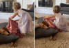 Perawatan Lembut Gadis Kecil untuk Anjing Senior