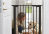 How To Choose a Pet Gate?