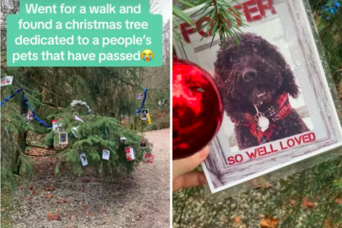 Christmas Tree Honors Beloved Pets