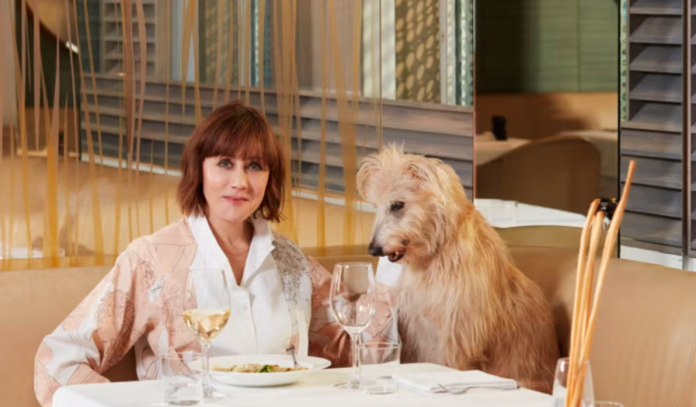 Is it ever OK to take your dog out to dinner?