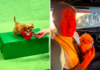 Sweetpea's Honored Legacy in Puppy Bowl 2024