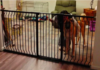 FairyBaby Big Dog Gate Buyer’s Review