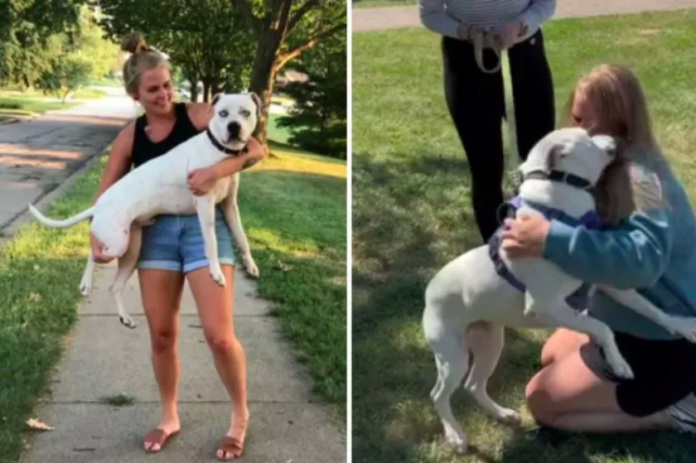 Woman Never Forgot About Foster Dog