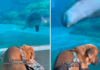 Special Needs Dog Loses Balance at Aquarium Special Needs Dog Loses Balance at Aquarium