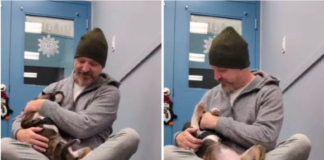 Shelter Puppy and Man 'Immediately Chose' Each Other