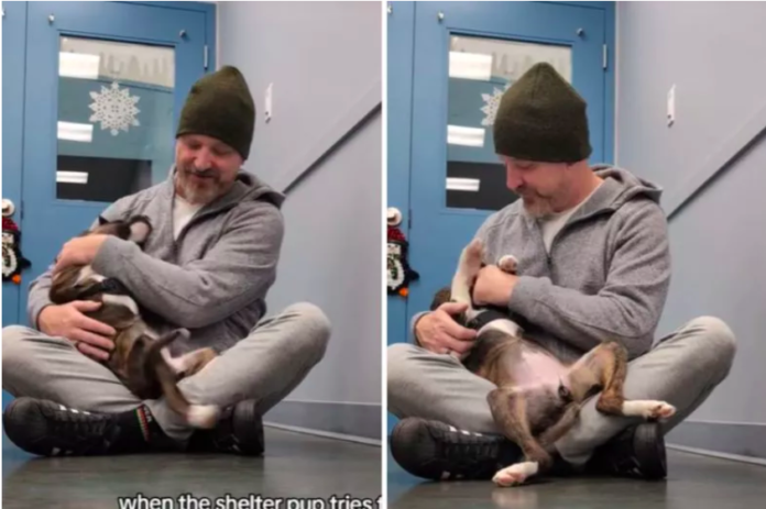 Shelter Puppy and Man 'Immediately Chose' Each Other