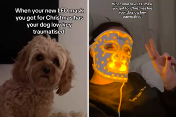 Dog Reacts Hilariously to Owner’s Glowing LED Face Mask