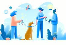 Principles of training a Dog Dog Training