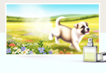 Spray Away That Dog Smell – Gentle & Natural Pet Perfume puppy deodorant
