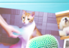 Pet Grooming Shampoo Brush – Soft Silicone Scrubber for Bathing Cats & Dogs pet grooming tool
