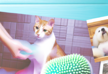 Pet Grooming Shampoo Brush – Soft Silicone Scrubber for Bathing Cats & Dogs pet grooming tool