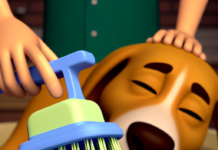 Anti-Itch Pet Shampoo Brush for Dogs – Cleans Stains & Nourishes pet grooming tool