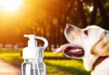 Portable Dog Water Bottle – Leak-Proof Pet Dispenser for Walking & Travel dog hydration bottle