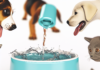 Anti-Splash Dog Water Bowl – 1L Spill-Proof Pet Waterer for Dogs & Cats
