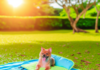 Soft Cooling Dog Mat – Breathable & Foldable Summer Bed for Pets puppy cushion