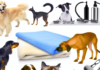 Sniffing Blanket for Dogs & Cats with Anti-Slip Base pet grooming